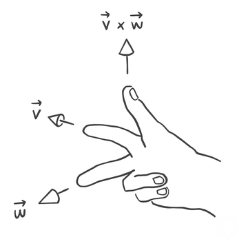 Right hand with index finger pointing along vector v, middle finger along vector w, and thumb along the cross product v cross w
