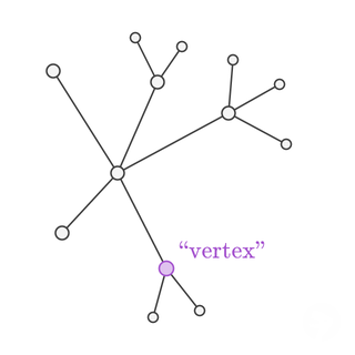 A graph with one vertex highlighted purple